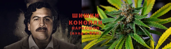 индика Верхний Тагил