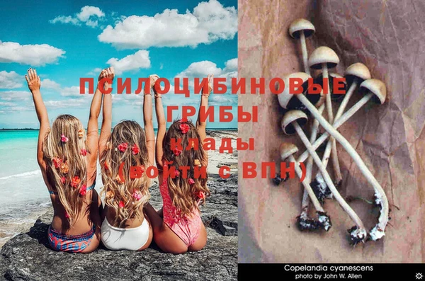 спиды Вязьма