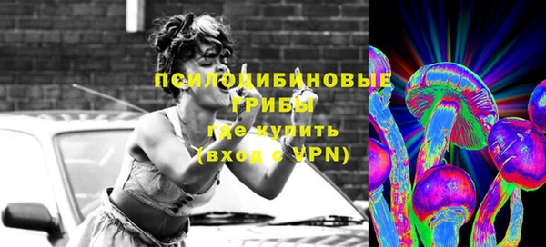 спиды Вязьма