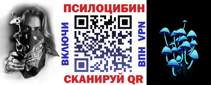 Псилоцибиновые грибы Psilocybe Змеиногорск